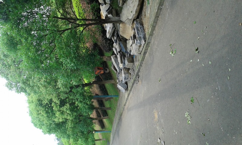 20150503_143052.jpg