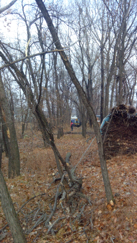 IMG_20141124_085037.jpg