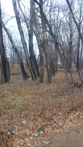 IMG_20141124_085024.jpg