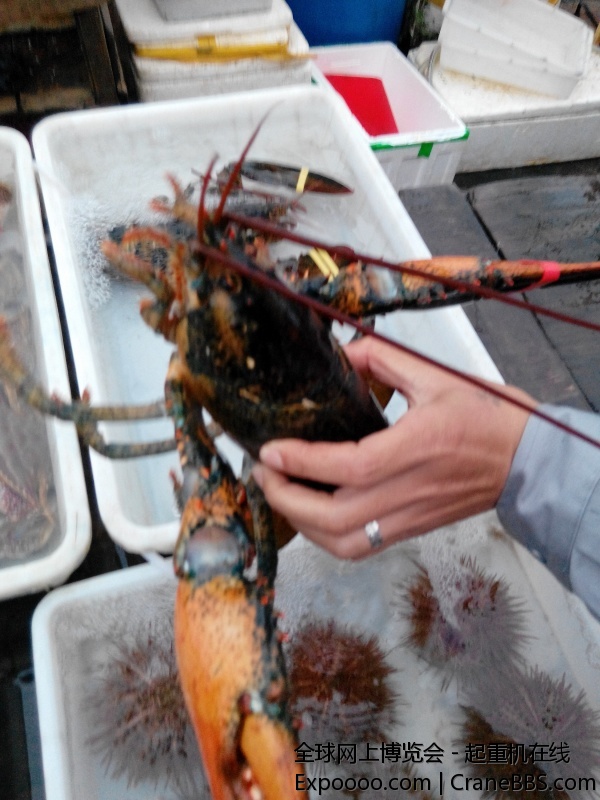 IMG_20141030_164348.jpg