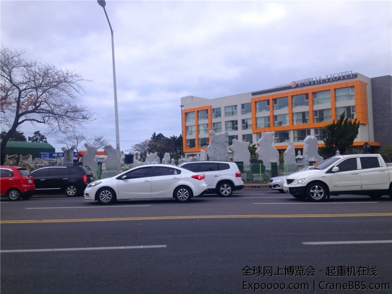 IMG_4361_旋转.jpg