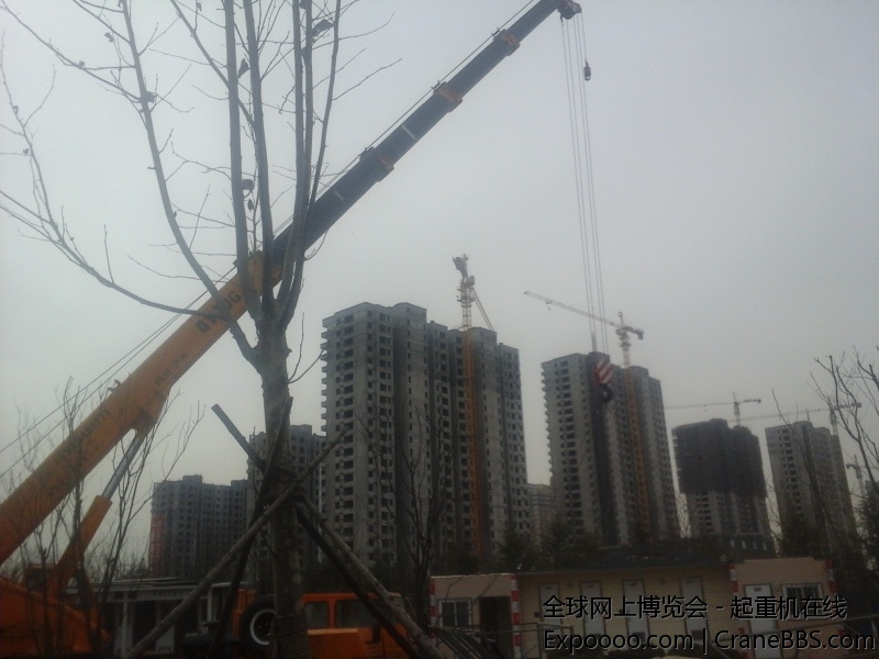 20141220_121706.jpg