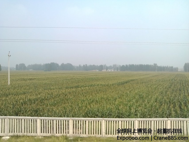 烧棒子你们可吃过