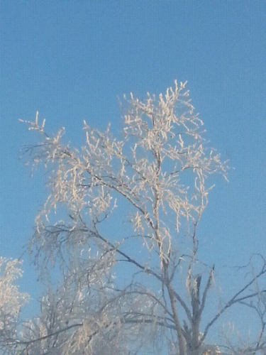 20141220_075156.jpg