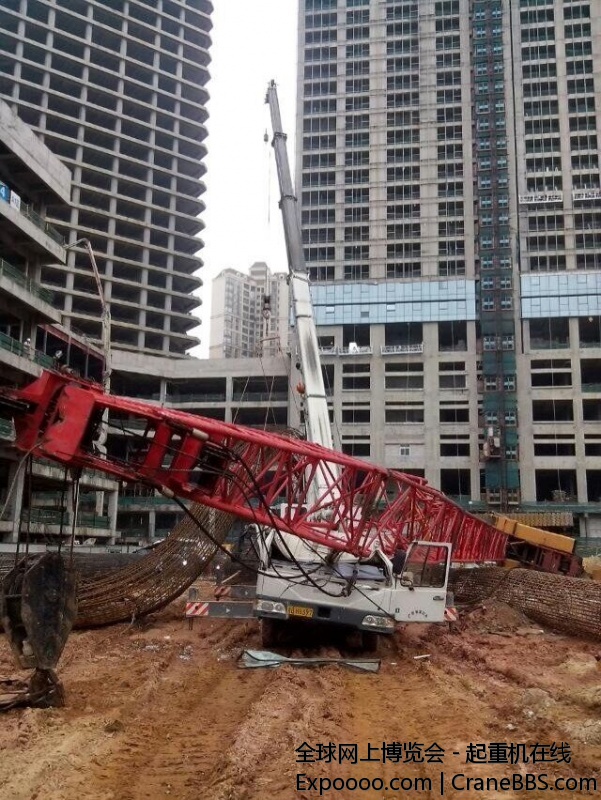 QQ图片20150206200804.jpg