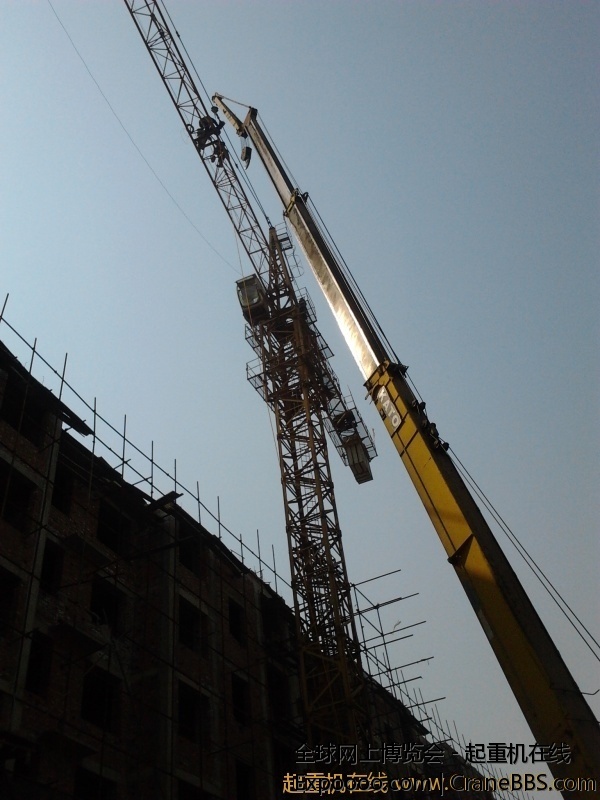 2012-03-13 11.31.38.jpg.thumb.jpg