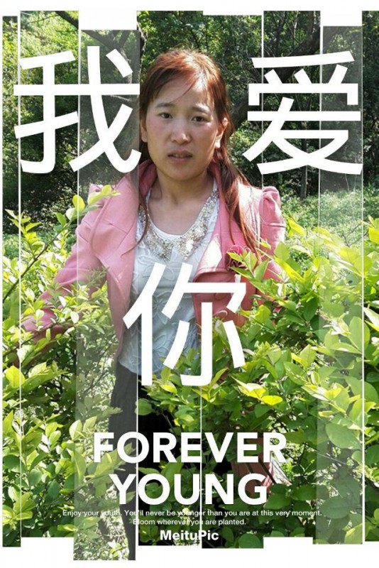 老婆发来的安慰图