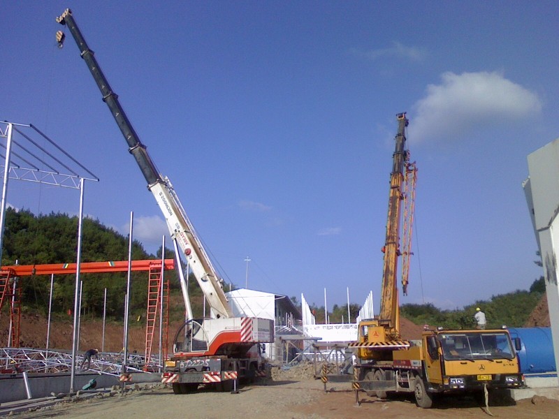 IMG0811172901.jpg