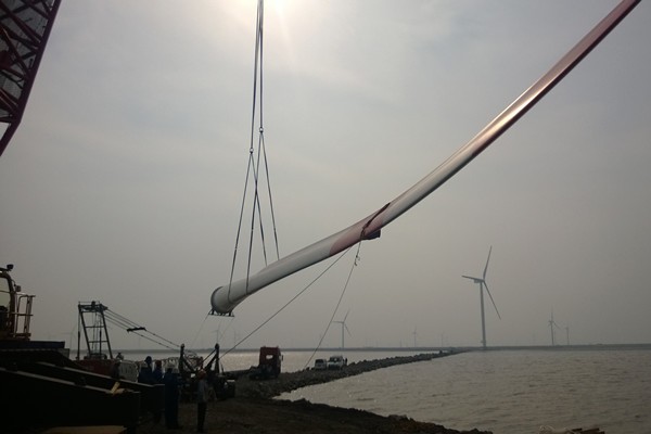 1110.jpg