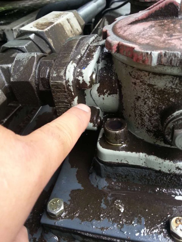 其他地方把它带坏的