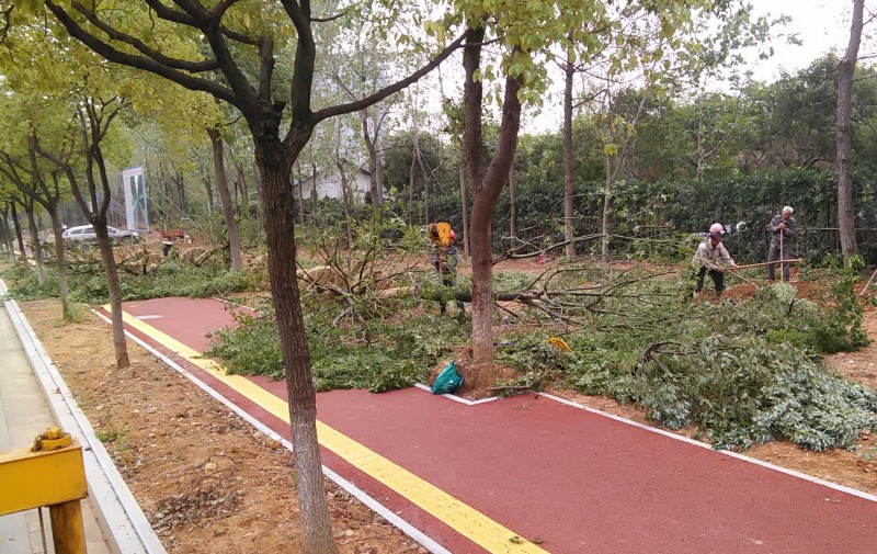 IMG20161014103754_2345看图王.jpg