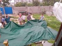 12  12  12  12  12.jpg