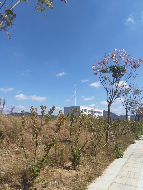 IMG_20151015_111558.jpg