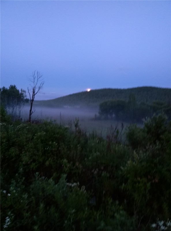 IMG_20150702_200716.jpg