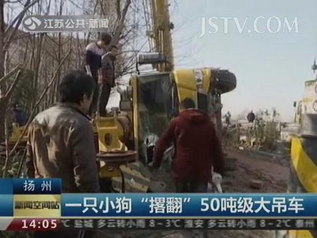 50吨吊车