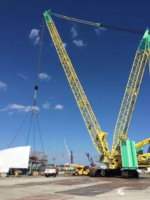 MLC650 green (2).JPG