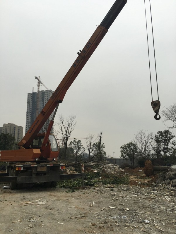 QQ图片20160115230149.jpg