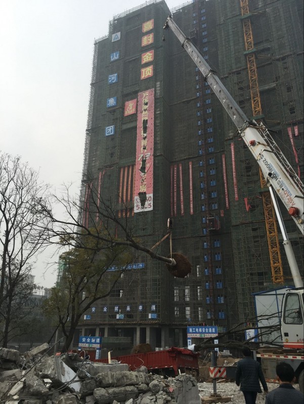 QQ图片20160115230141.jpg